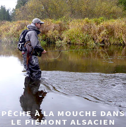 Guide de pêche mouche Alsace